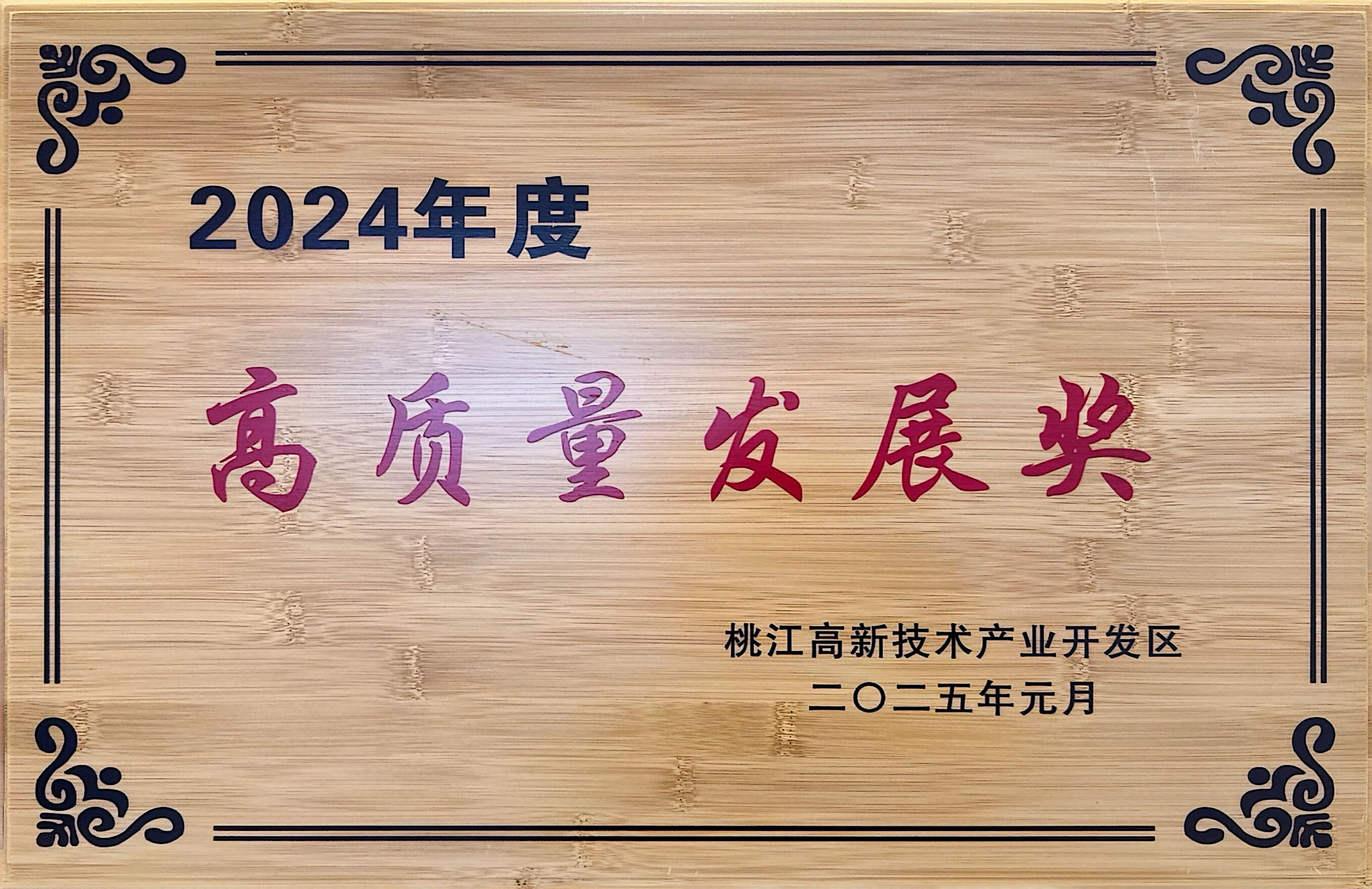 2024年度 高质量发展奖
