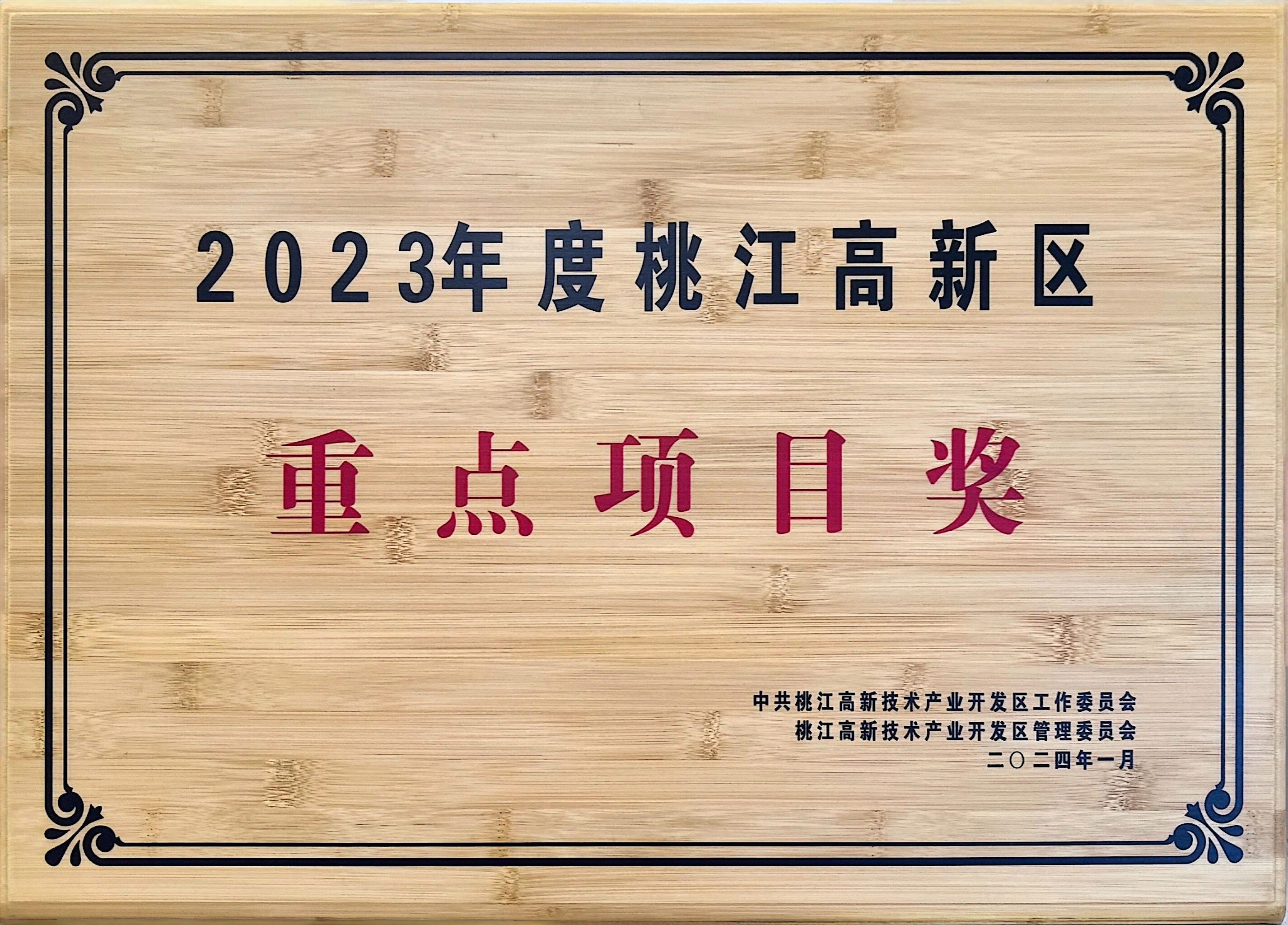 重点项目奖.jpg