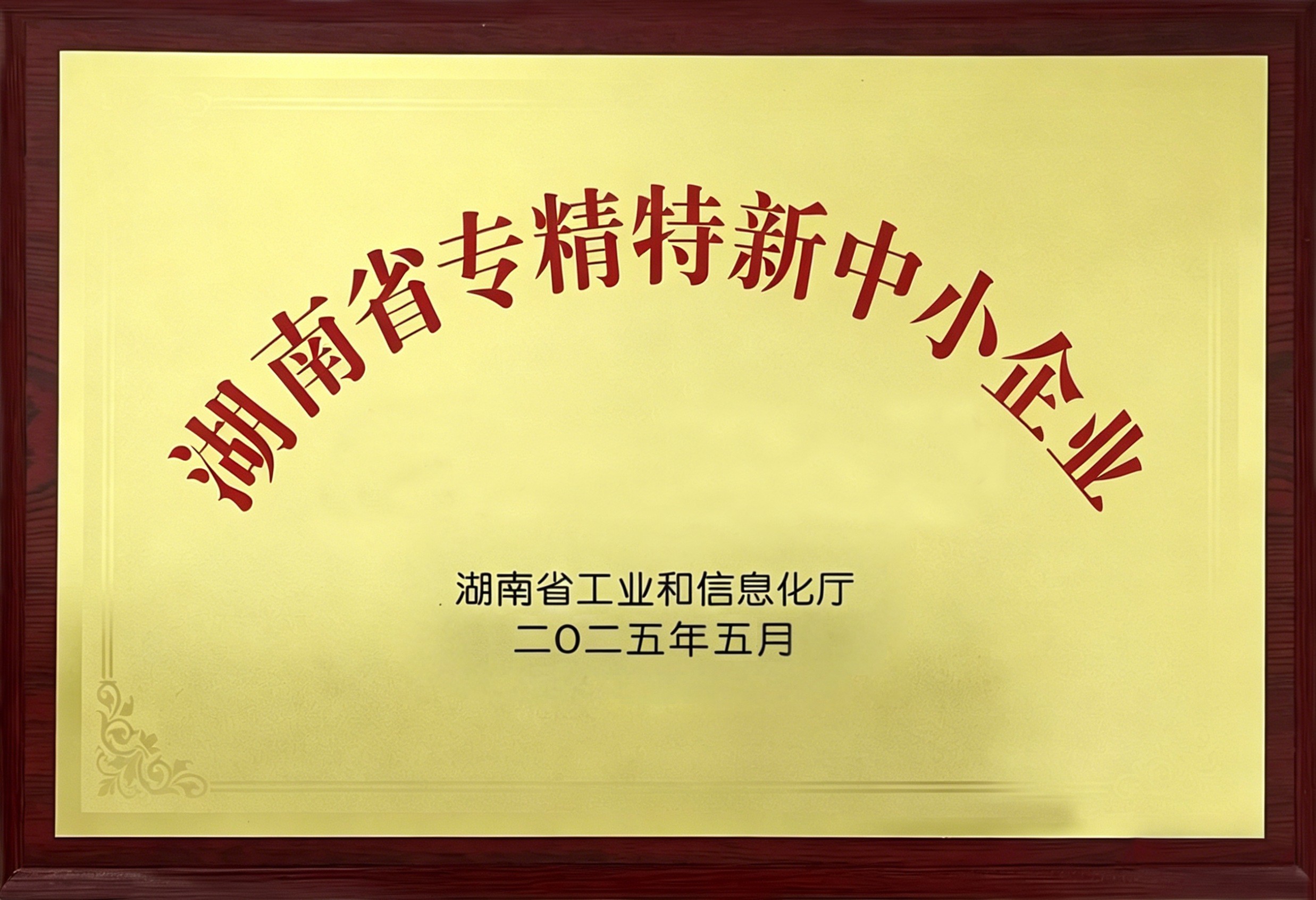 专精特新中小企业_副本.jpg